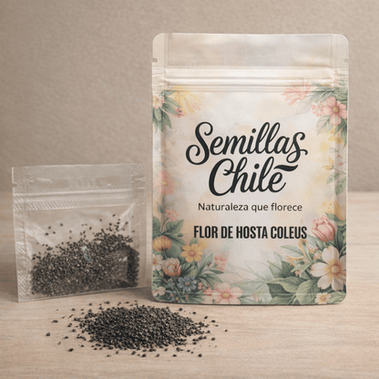 🌿Semillas de Hosta - Arcoiris de Dios 💖🔥1 paquete - 100 semillas Aprox. (5 gr.)
